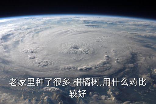 老家里種了很多 柑橘樹,用什么藥比較好