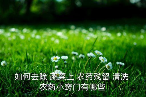 如何去除 蔬菜上 農(nóng)藥殘留 清洗 農(nóng)藥小竅門有哪些