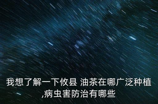 油茶打什么農藥,油茶保花保果農藥