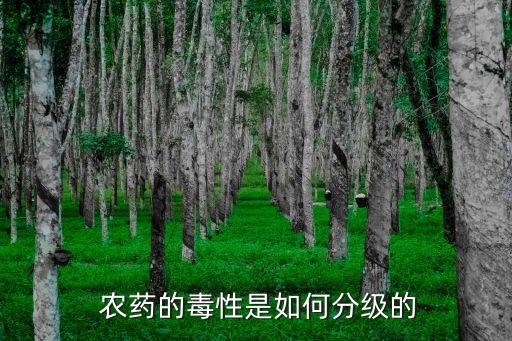 農(nóng)藥屬于什么毒害品,砒霜屬于什么毒害品