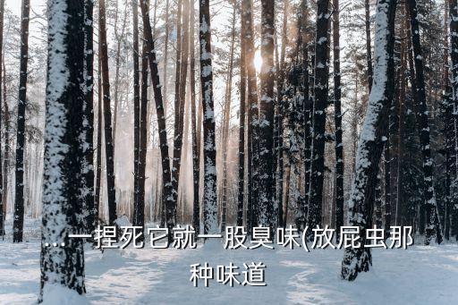 打屁蟲什么農(nóng)藥,家里很多打屁蟲什么原因
