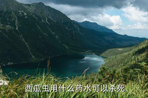 西瓜葉子有蟲子用什么農藥