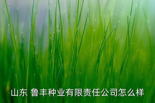 山東 魯豐種業有限責任公司怎么樣