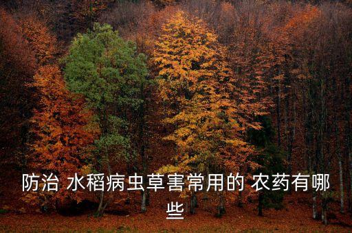 水稻放什么農(nóng)藥,毒死水稻最好的農(nóng)藥
