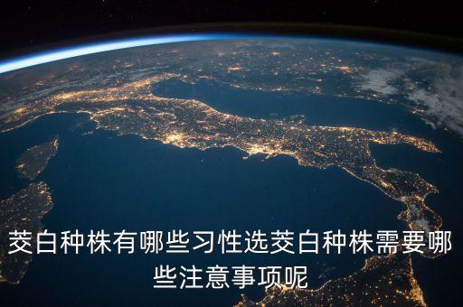 茭白種株有哪些習(xí)性選茭白種株需要哪些注意事項呢