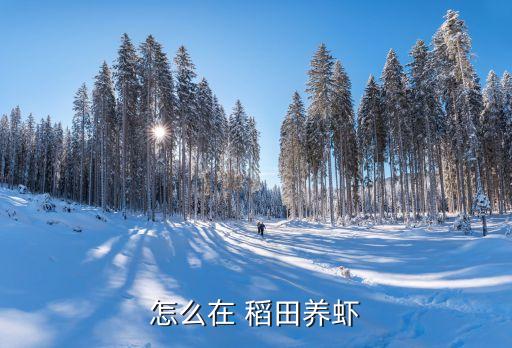 稻田蝦打什么農藥,蝦稻田用什么農藥安全