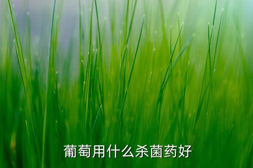  葡萄用什么殺菌藥好
