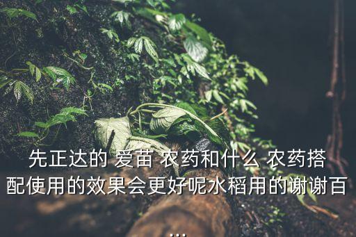 愛苗農藥去什么病,蘿卜苗打什么農藥好
