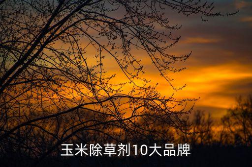 玉米地打的藥有什么農藥
