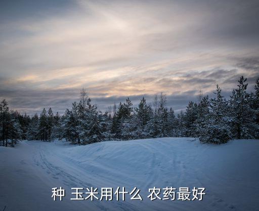 種 玉米用什么 農藥最好
