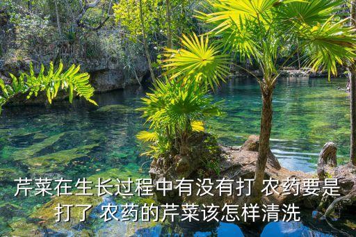 什么農藥能控制植物生長,秋季什么植物需要用農藥