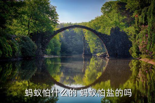 螞蟻用什么農藥可以除掉它,螞蟻最忌什么農藥