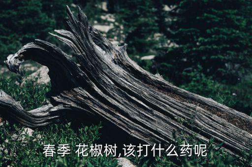 春季 花椒樹,該打什么藥呢