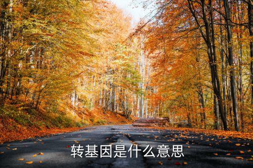  轉基因是什么意思
