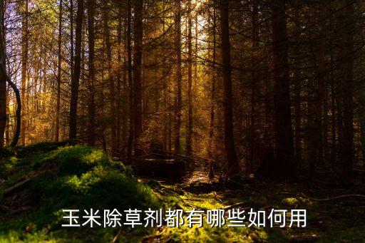  玉米除草劑都有哪些如何用