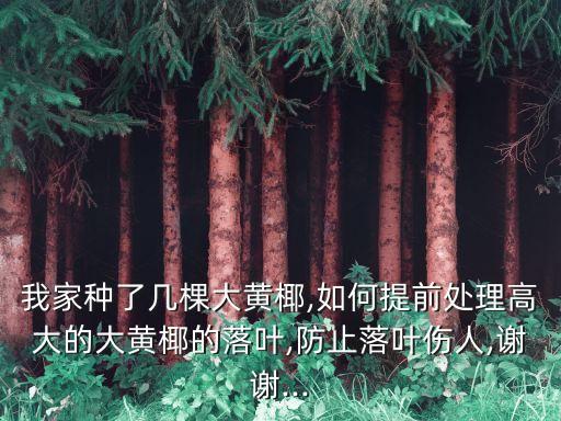 什么農(nóng)藥可以毒死椰子樹,有什么農(nóng)藥可以毒死椰子樹