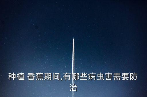 種植 香蕉期間,有哪些病蟲(chóng)害需要防治
