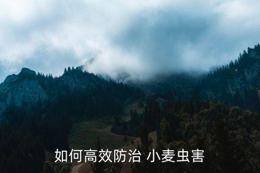 什么農(nóng)藥可以殺小麥蟲(chóng)卵,現(xiàn)在小麥打什么農(nóng)藥