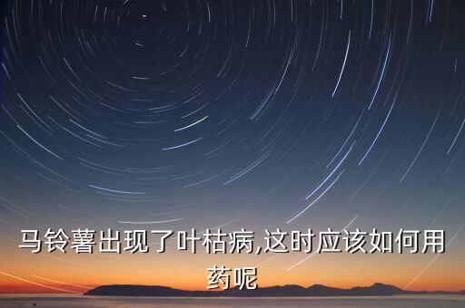 馬鈴薯出現(xiàn)了葉枯病,這時應該如何用藥呢