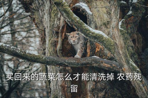 豆角用什么洗去農藥,蔬菜用什么洗去農藥最好?