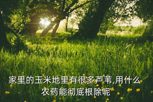 地克松農(nóng)藥主治什么病