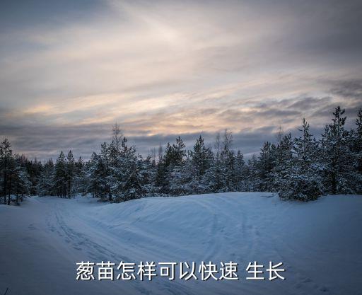 蔥苗怎樣可以快速 生長