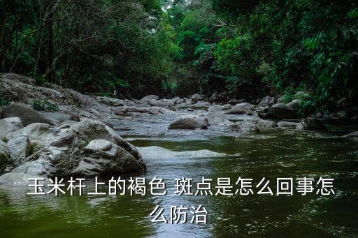  玉米桿上的褐色 斑點是怎么回事怎么防治