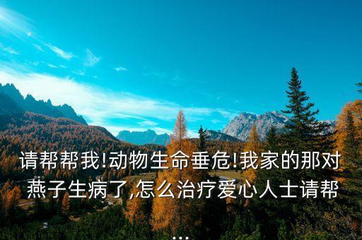 用什么農(nóng)藥毒殺燕子,毒殺蚯蚓用什么農(nóng)藥
