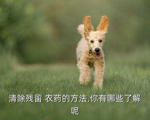 清除殘留 農藥的方法,你有哪些了解呢