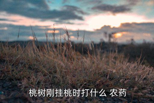 桃樹開花打什么農藥
