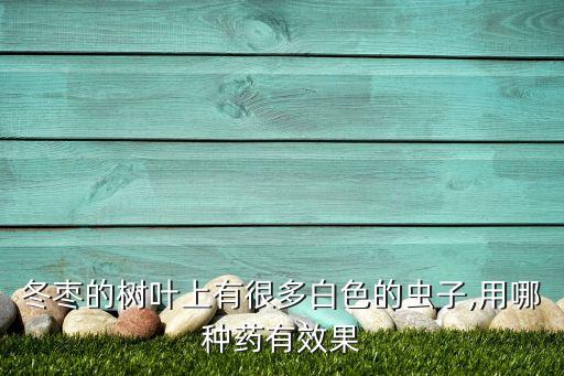 大白蟲用什么農藥能殺死