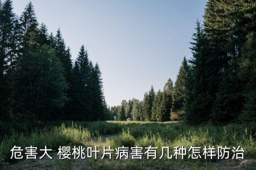 危害大 櫻桃葉片病害有幾種怎樣防治