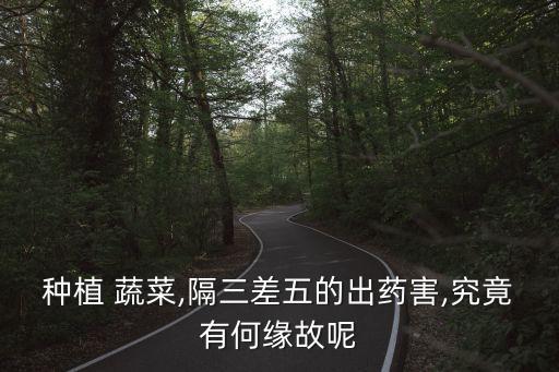 種植 蔬菜,隔三差五的出藥害,究竟有何緣故呢