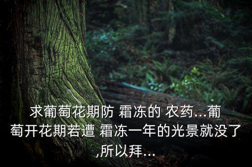 求葡萄花期防 霜凍的 農藥...葡萄開花期若遭 霜凍一年的光景就沒了,所以拜...