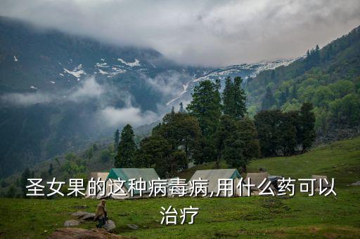 圣女果用什么農(nóng)藥好