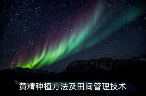地黃精爛根打什么農藥