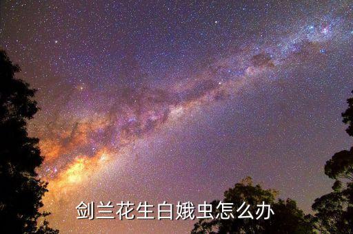 劍蘭花生白娥蟲怎么辦