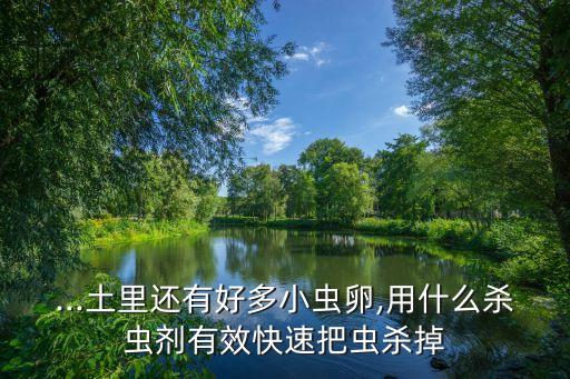 什么農(nóng)藥能夠捕殺黑色蚜蟲