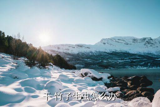 干 竹子生蟲怎么辦