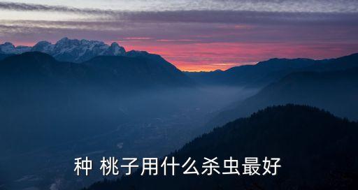 桃子要爛打什么農藥,桃子表面好的里面爛了什么原因