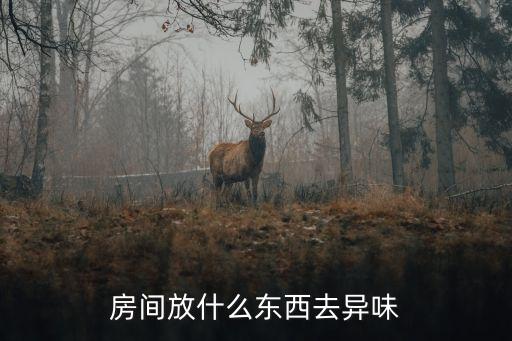 房間放什么東西去異味
