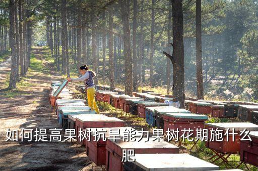 如何提高果樹抗旱能力果樹花期施什么肥