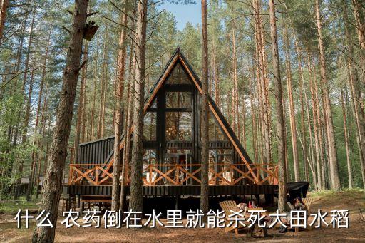 什么 農藥倒在水里就能殺死大田水稻