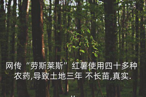網傳“勞斯萊斯”紅薯使用四十多種 農藥,導致土地三年 不長苗,真實...