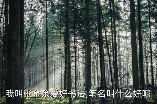 我叫張金余愛好書法,筆名叫什么好呢