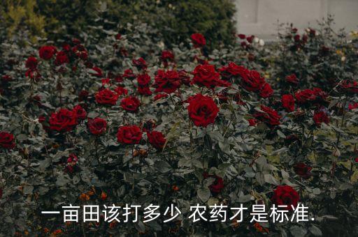一畝田該打多少 農(nóng)藥才是標準.