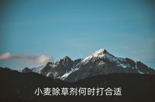  小麥除草劑何時打合適