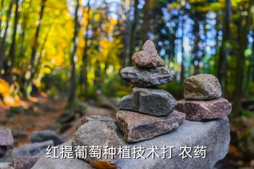提子生病用什么農(nóng)藥,豌豆生病需要什么農(nóng)藥