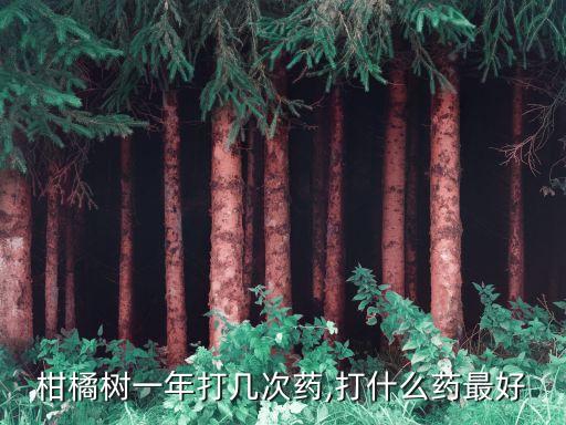 柑樹采果后噴什么農藥