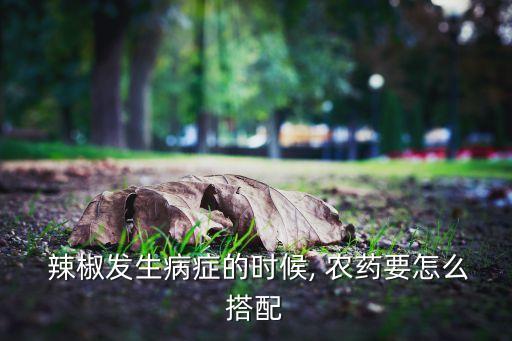  辣椒發(fā)生病癥的時候, 農(nóng)藥要怎么搭配